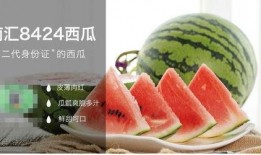 可云娱乐吃瓜