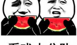 娱乐圈吃瓜百科图片表情包,笑料百出，表情包里的明星故事