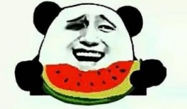 娱乐吃瓜酱肚子疼,揭秘明星幕后趣事