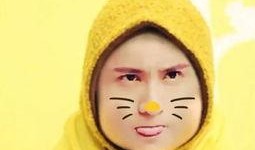 娱乐吃瓜酱画像图片大全,揭秘网红画像背后的趣味人生