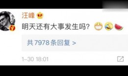 娱乐718吃瓜最新网站,揭秘娱乐圈最新吃瓜热点，带你领略明星幕后故事