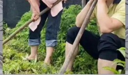 娱乐八卦 吃瓜群众,吃瓜群众揭秘明星幕后故事