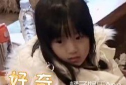 娱乐吃瓜酱比冷战还可怕,比冷战还可怕的瓜界风云