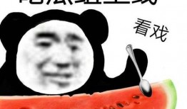 娱乐吃瓜模板介绍自己