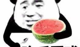 逗尔娱乐吃瓜看点,揭秘娱乐圈最新吃瓜看点，带你领略明星幕后故事