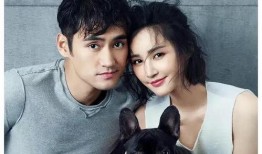 明星娱乐圈吃瓜博主