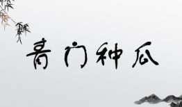 娱乐吃瓜四字成语大全集,趣味横生的成语世界