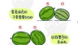 娱乐吃瓜素材在哪找到,吃瓜素材大搜集，带你一探究竟