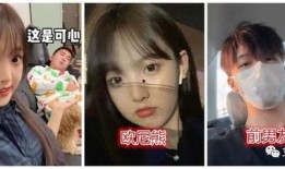 娱乐吃瓜的女主,娱乐圈幕后风云录