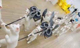 娱乐吃瓜君耍猴版