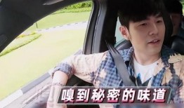 娱乐吃瓜周杰伦,娱乐界的瓜王，吃瓜群众的狂欢盛宴