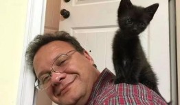 娱乐吃瓜酱男朋友不如猫