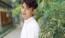 娱乐圈吃瓜酱爱情是什么,甜蜜与现实的交织