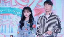 娱乐圈吃瓜综艺文推荐,明星幕后故事大揭秘，吃瓜综艺文推荐盘点