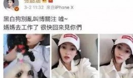 吃瓜娱乐圈二字,揭秘明星幕后故事