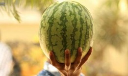 今年娱乐的吃瓜事件,2023年度娱乐圈爆笑吃瓜大盘点