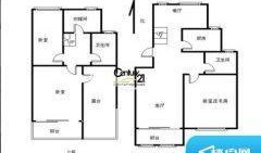 娱乐吃瓜酱花西子,娱乐吃瓜酱中的璀璨明珠