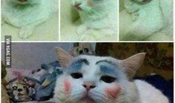 喵星娱乐吃瓜群众是谁啊,吃瓜群众背后的神秘力量