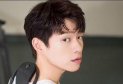 娱乐吃瓜菌王晨正,娱乐吃瓜菌王的崛起之路