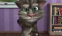 皮卡丘娱乐圈吃瓜,吃瓜群众眼中的萌宠明星