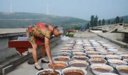 娱乐吃瓜酱农村