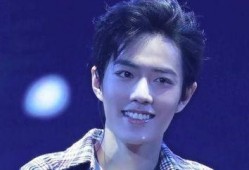 吃瓜者娱乐肖战粉丝多少,吃瓜群众热议，究竟有多少人支持他？