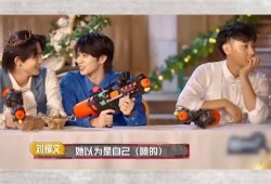 娱乐圈吃瓜小说综艺文,瓜田里的甜蜜陷阱