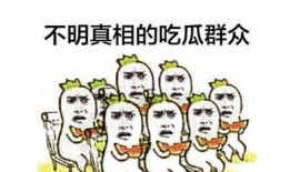 娱乐场所吃瓜群众,吃瓜群众的狂欢盛宴