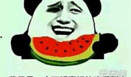 吃瓜娱乐怎么样,揭秘娱乐圈幕后故事